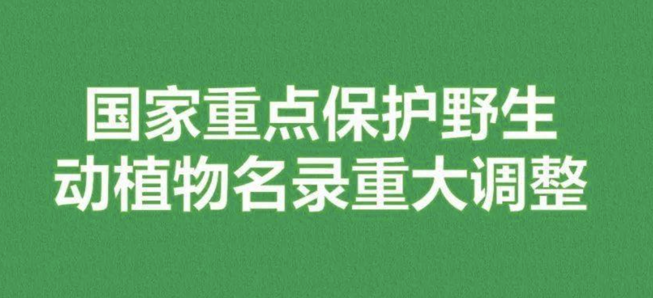 重磅！新版國(guó)家重點(diǎn)保護(hù)野生植物名錄公布，58種/屬列入一級(jí)保護(hù)，值得收藏