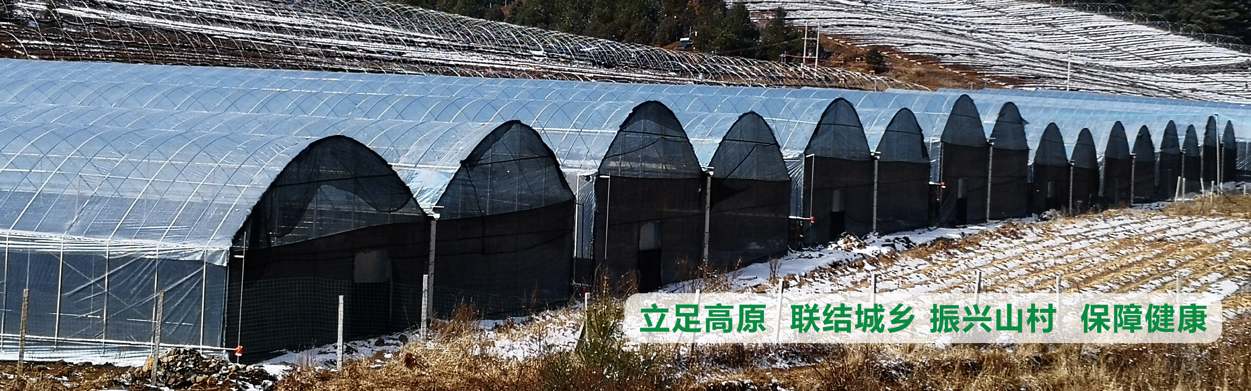 立足高原、聯(lián)結(jié)城鄉(xiāng)、振興山村、保障健康